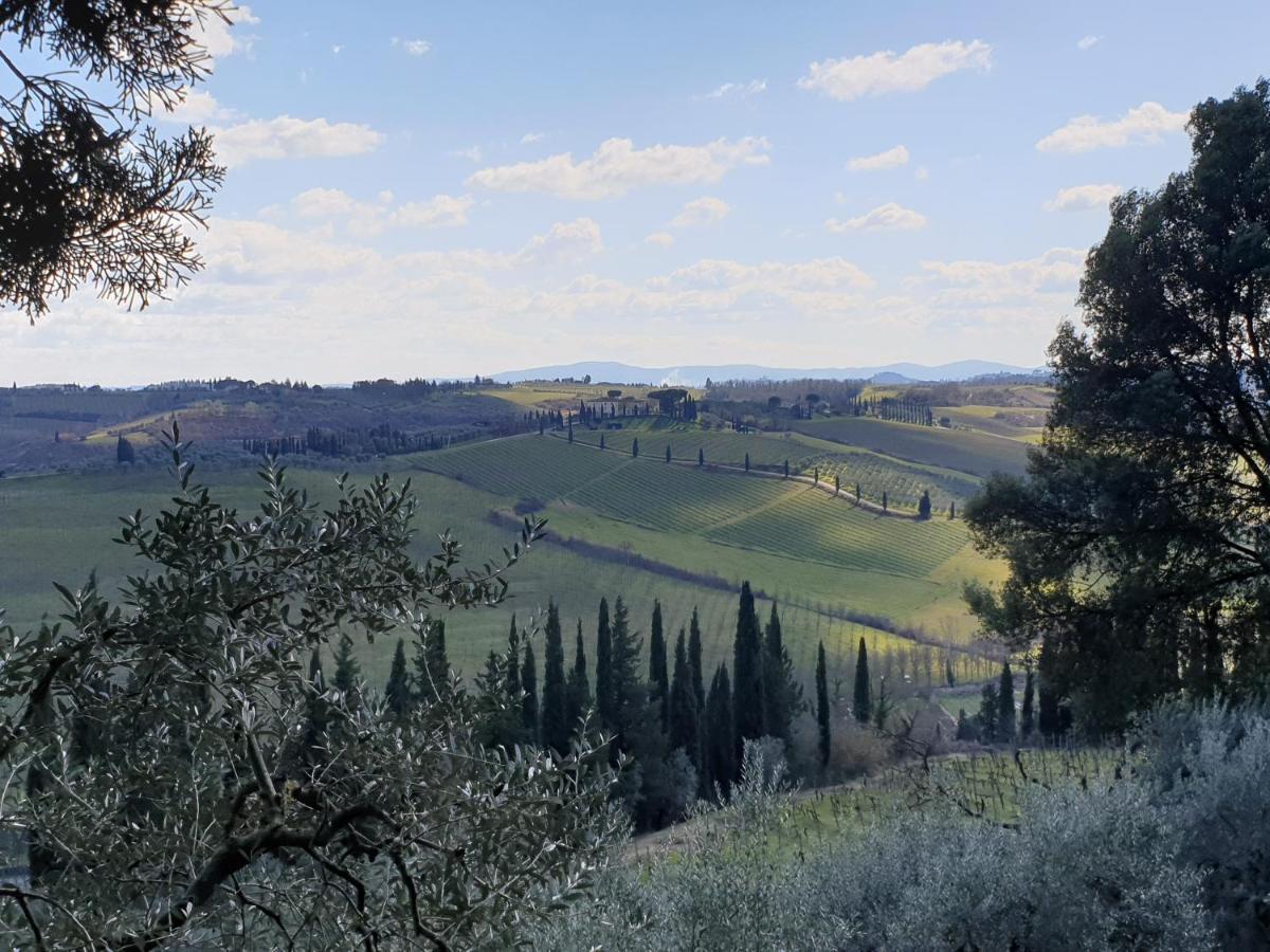 Agriturismo Villino Del Grillo San Gimignano Exterior photo