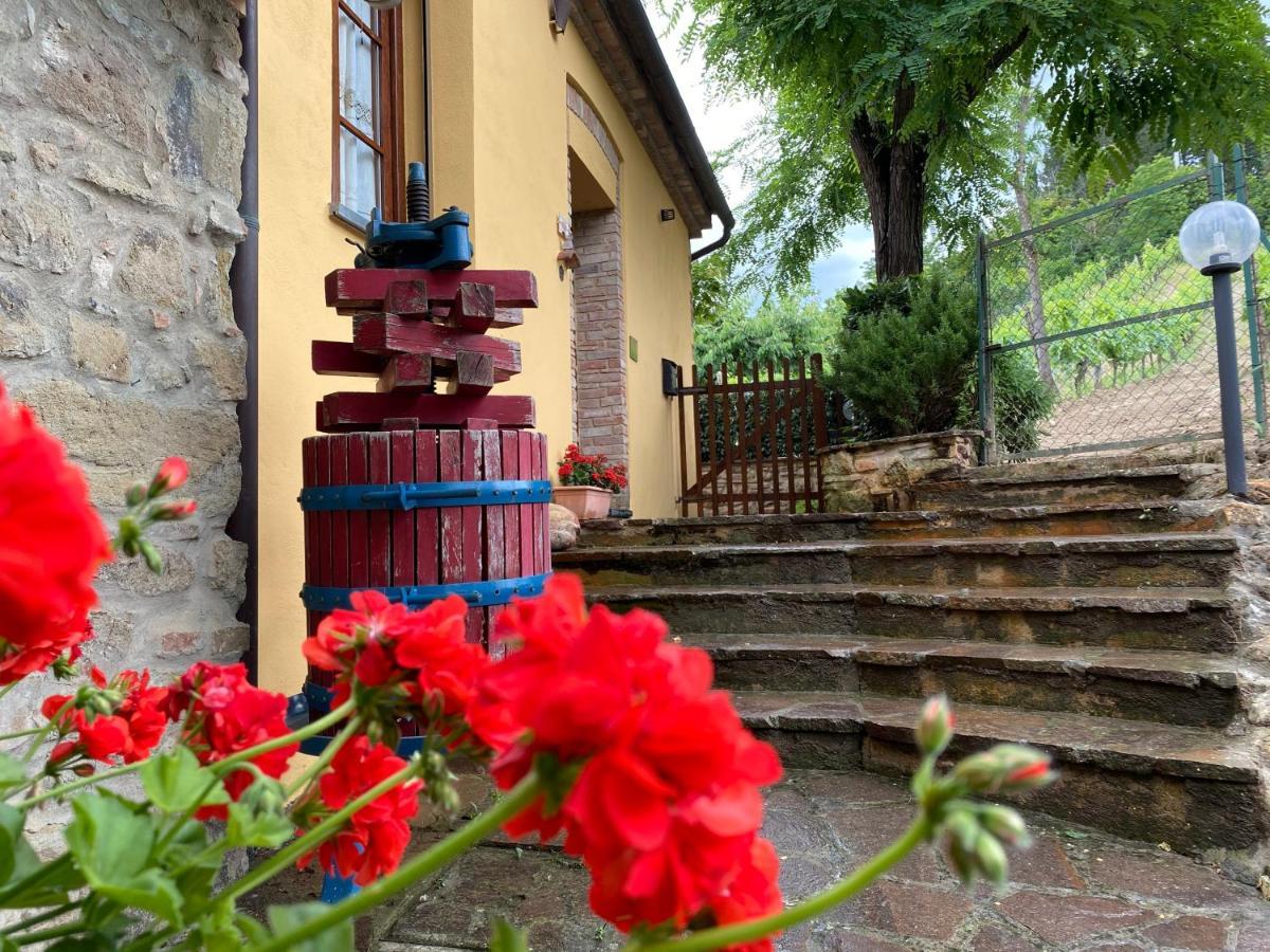 Agriturismo Villino Del Grillo San Gimignano Exterior photo