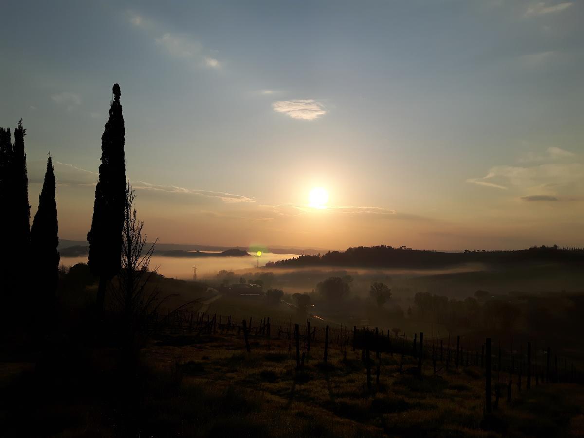 Agriturismo Villino Del Grillo San Gimignano Exterior photo