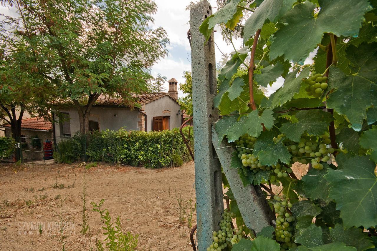 Agriturismo Villino Del Grillo San Gimignano Exterior photo