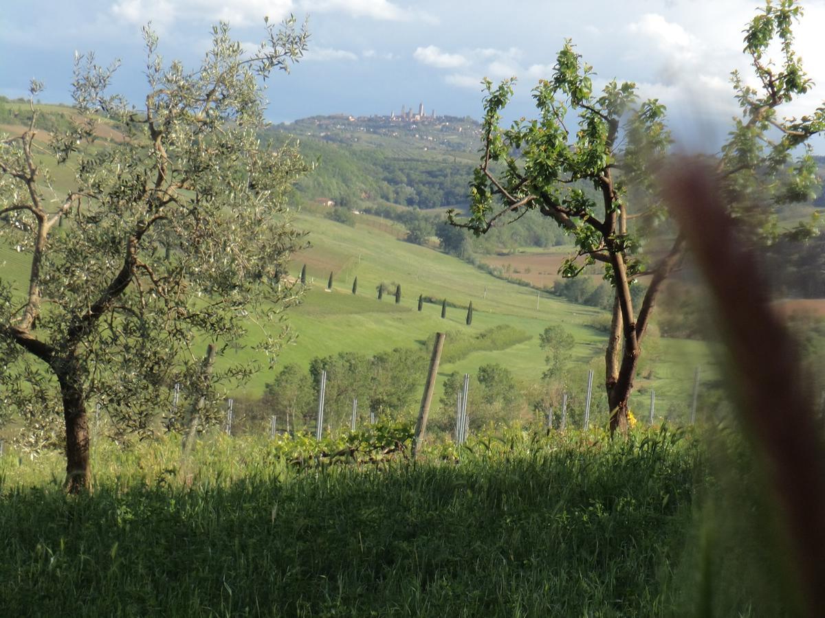 Agriturismo Villino Del Grillo San Gimignano Exterior photo