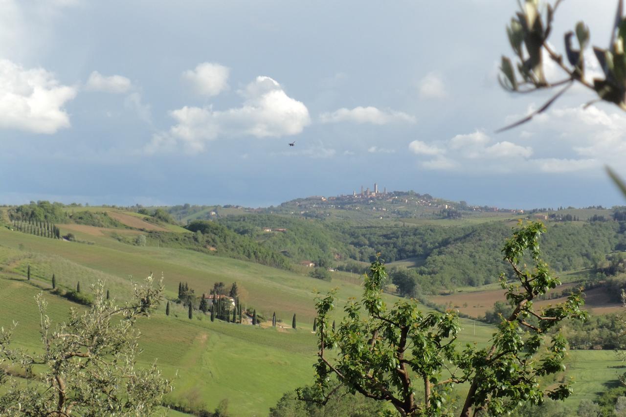 Agriturismo Villino Del Grillo San Gimignano Exterior photo