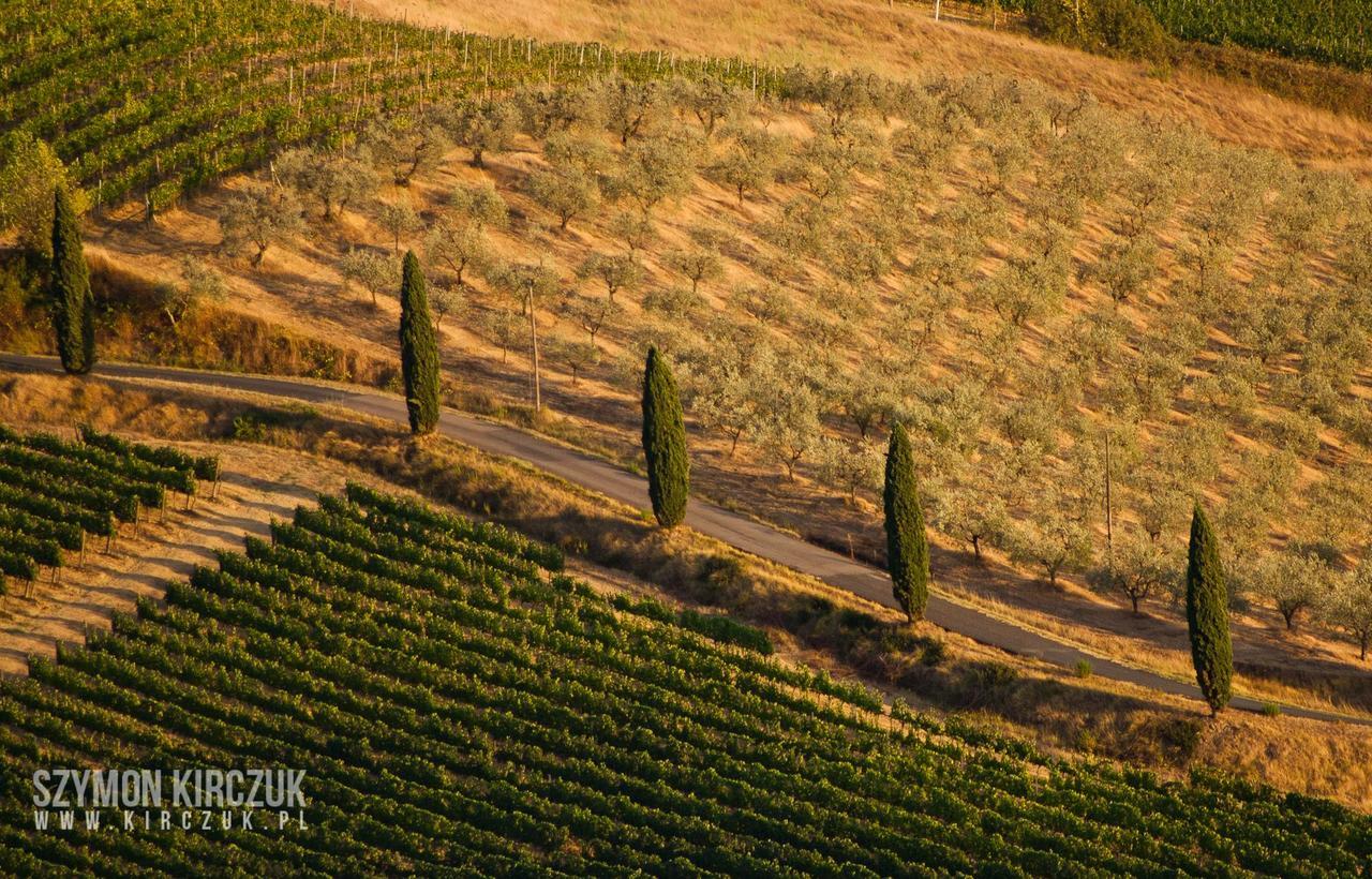 Agriturismo Villino Del Grillo San Gimignano Exterior photo
