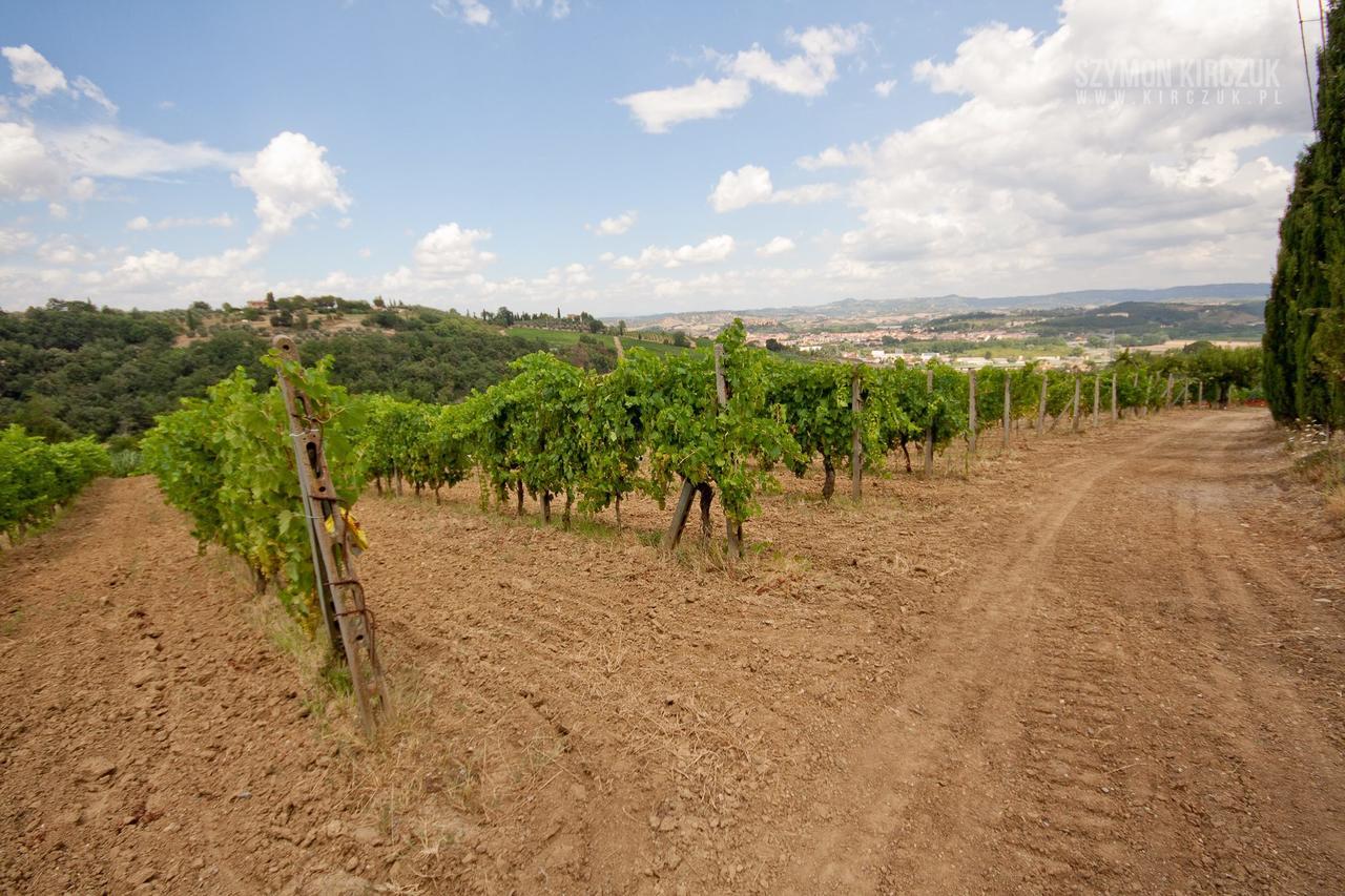 Agriturismo Villino Del Grillo San Gimignano Exterior photo