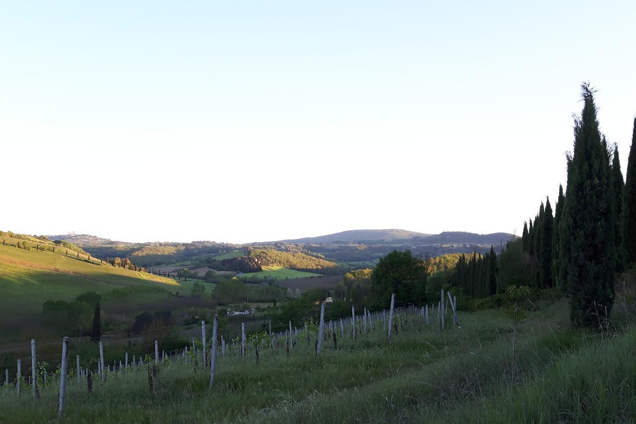 Agriturismo Villino Del Grillo San Gimignano Exterior photo