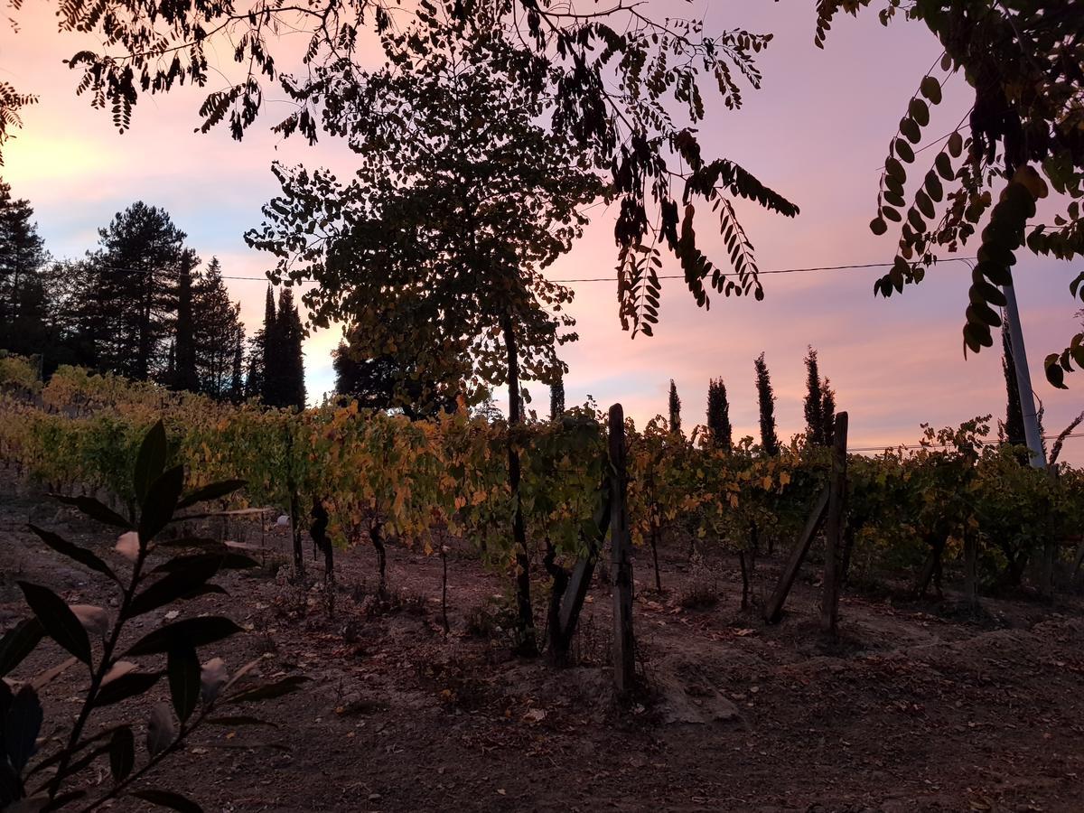 Agriturismo Villino Del Grillo San Gimignano Exterior photo